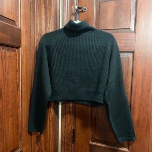 Brand New Windor Cropped Turtle Neck Sweater